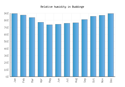 Buddinge relative humidity averages