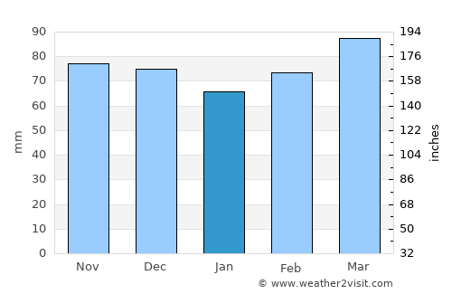 Buena Vista average rain in January