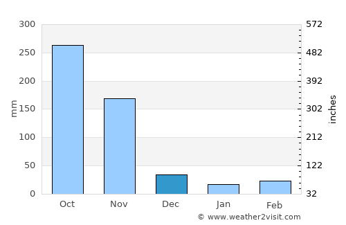 Buenavista average rain in December