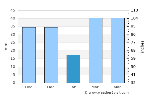 Buenavista average rain in January