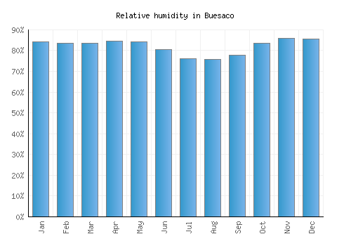 Buesaco relative humidity averages