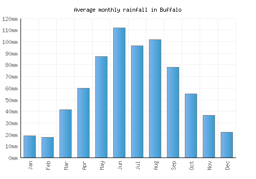 Buffalo monthly rainfall chart (mm)