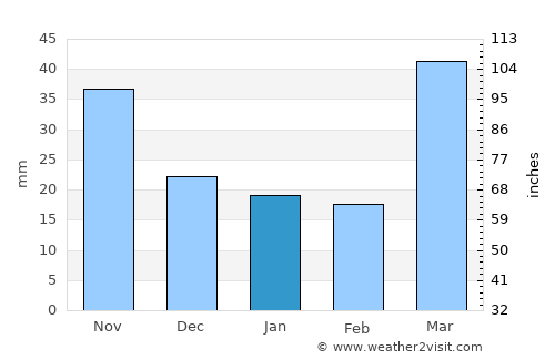 Buffalo average rain in January