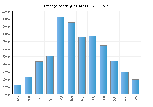 Buffalo monthly rainfall chart (mm)