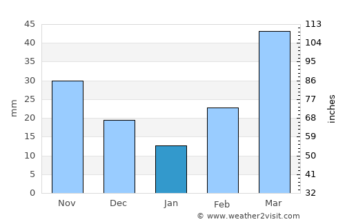 Buffalo average rain in January