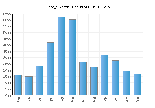 Buffalo monthly rainfall chart (mm)