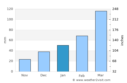 Buíque average rain in January