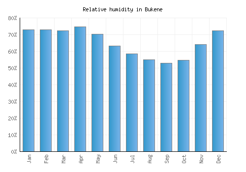 Bukene relative humidity averages