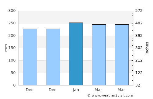 Bukittinggi average rain in January