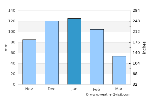 Bulawayo average rain in January