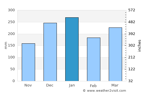 Bulumeduro average rain in January