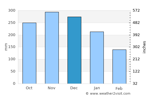 Bunga average rain in December