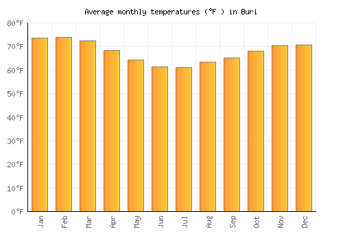 Buri average temperature chart (Fahrenheit)