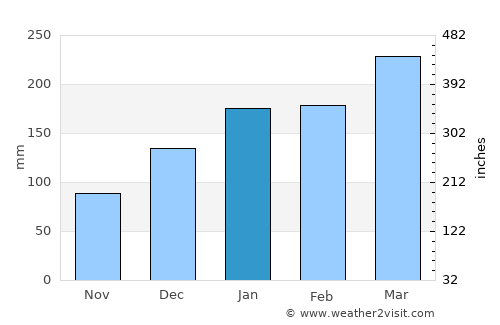 Buriti Bravo average rain in January