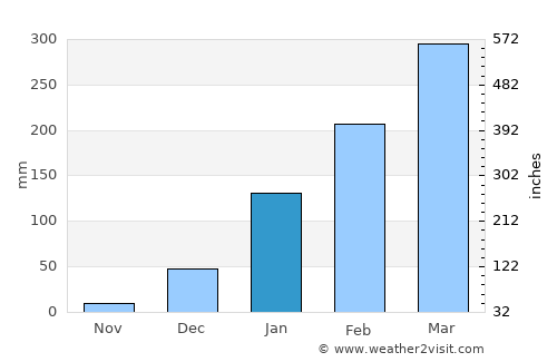 Buriti dos Lopes average rain in January