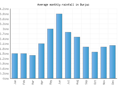 Burjuc monthly rainfall chart (inches)