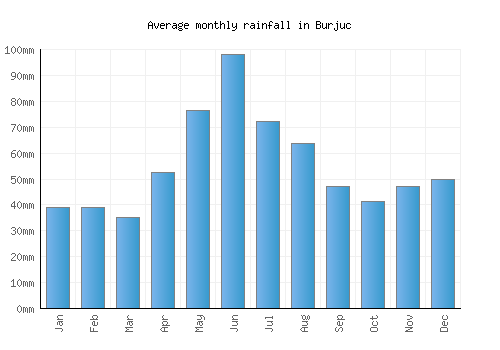 Burjuc monthly rainfall chart (mm)