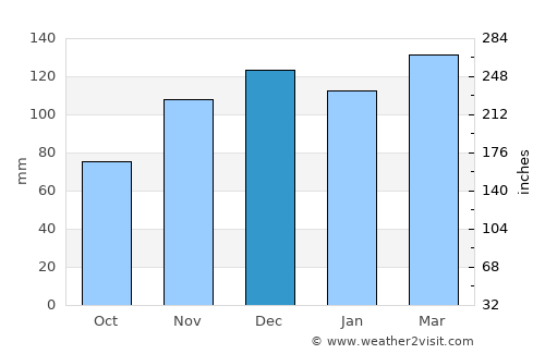 Burkesville average rain in December
