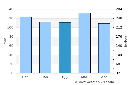Burkesville average rain in February