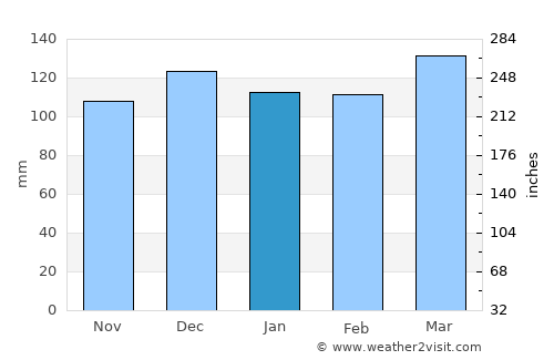 Burkesville average rain in January