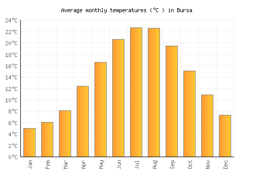 Bursa average temperature chart (Celsius)