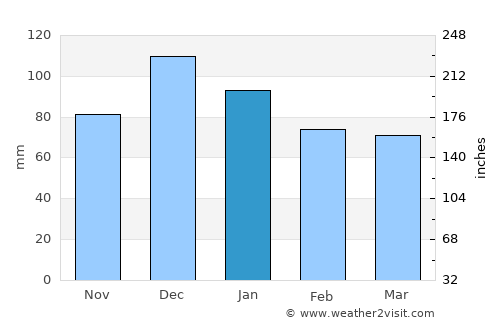 Bursa average rain in January