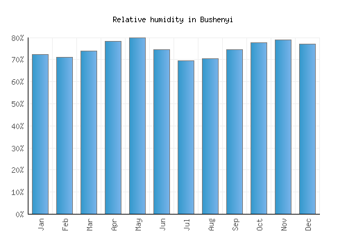 Bushenyi relative humidity averages