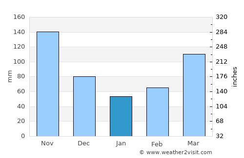 Bushenyi average rain in January