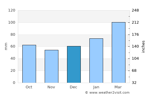 Bushnell average rain in December
