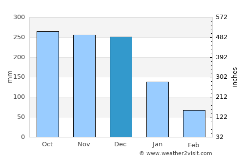 Busing average rain in December