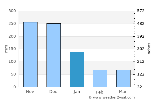 Busing average rain in January
