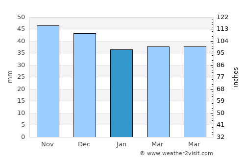Bustuchin average rain in January