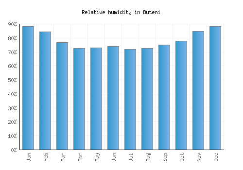 Buteni relative humidity averages