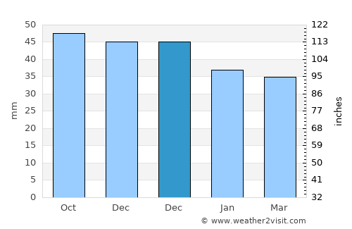 Buynichy average rain in December