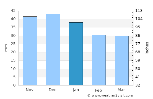 Buza average rain in January