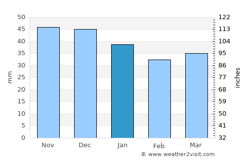 Byaroza average rain in January