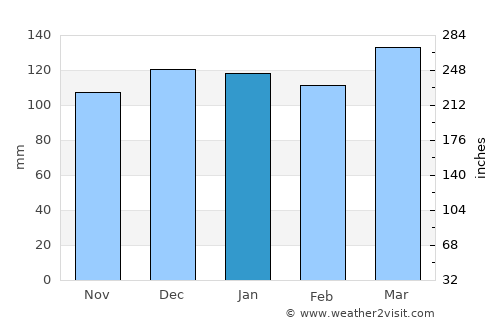 Byrdstown average rain in January