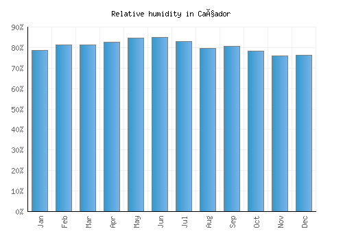 Caçador relative humidity averages