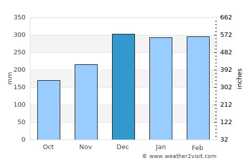 Cacoal average rain in December