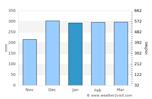 Cacoal average rain in January