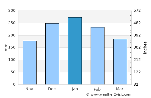 Cajuru average rain in January