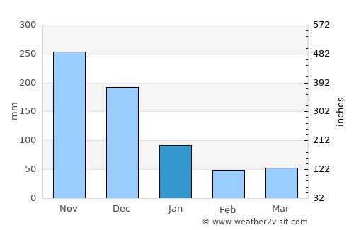 Calapan average rain in January