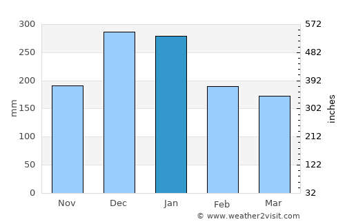 Caldas Novas average rain in January