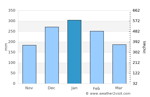 Camanducaia average rain in January
