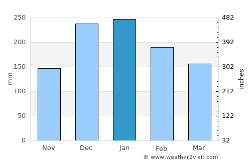 Camapuã average rain in January