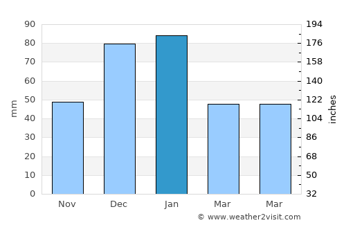 Camargo average rain in January
