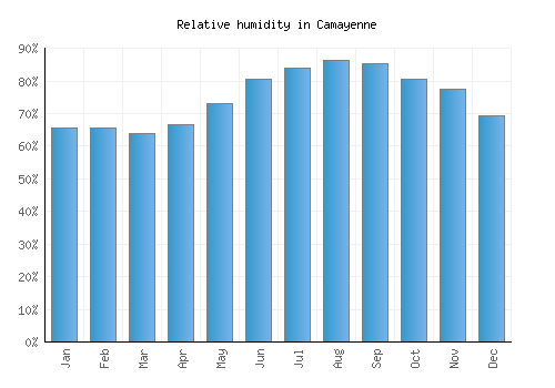 Camayenne relative humidity averages