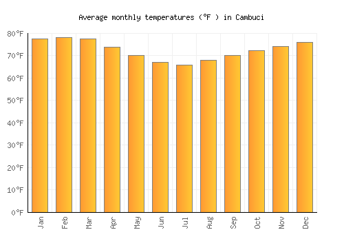 Cambuci average temperature chart (Fahrenheit)