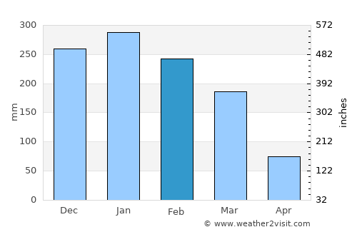 Cambuí average rain in February