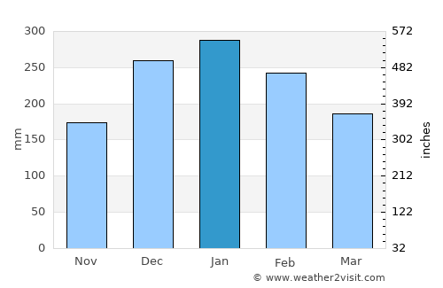 Cambuí average rain in January
